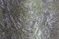 Ballyvoy fibreglass roof work